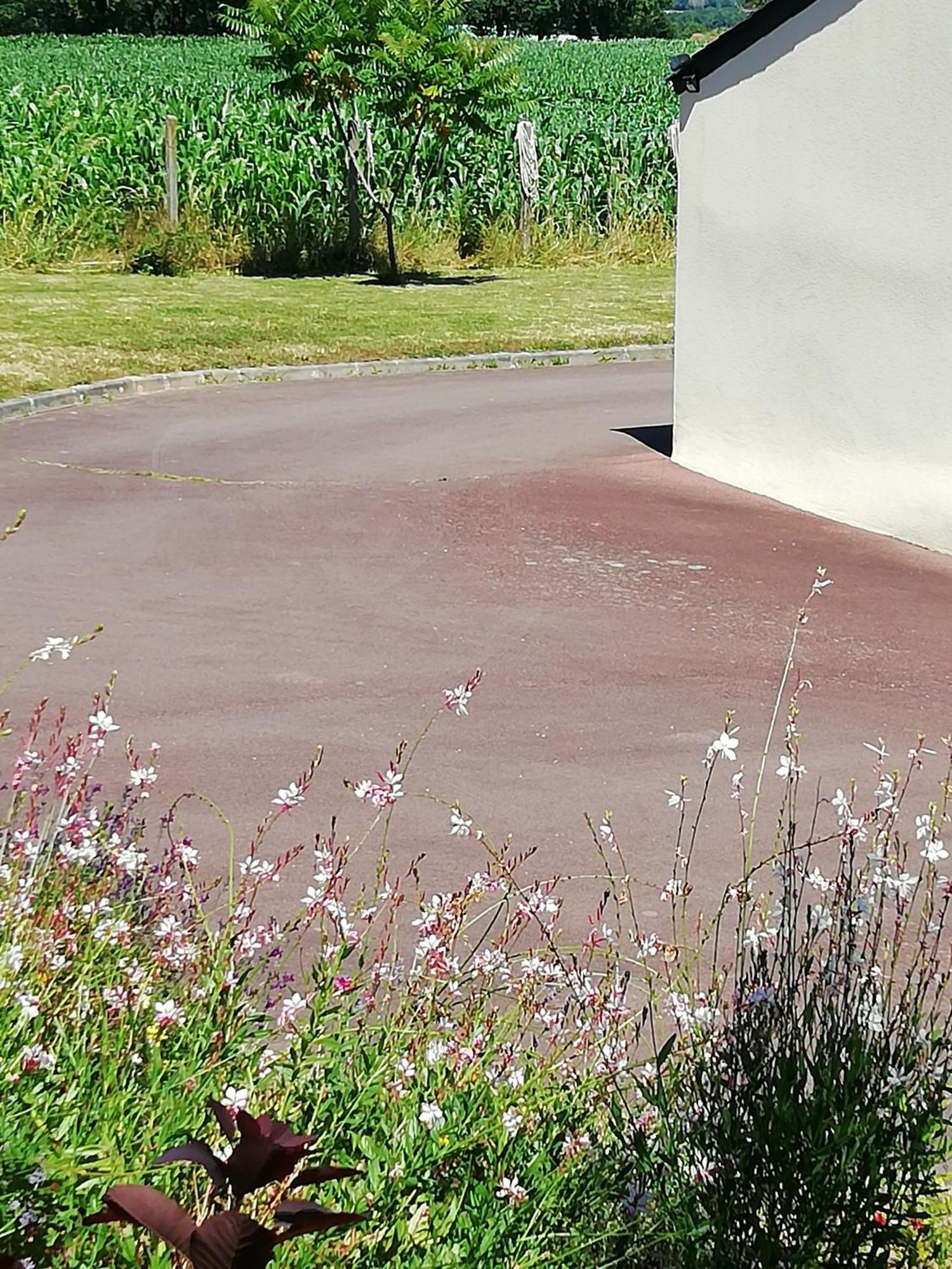 Kerlan Bed & Breakfast Béganne Exterior foto